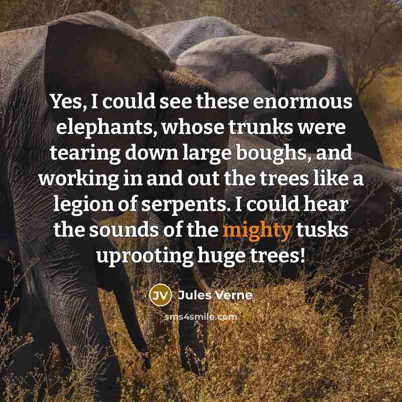 “Yes, I could see these enormous elephants, whose trunks were…” quote by Jules Verne