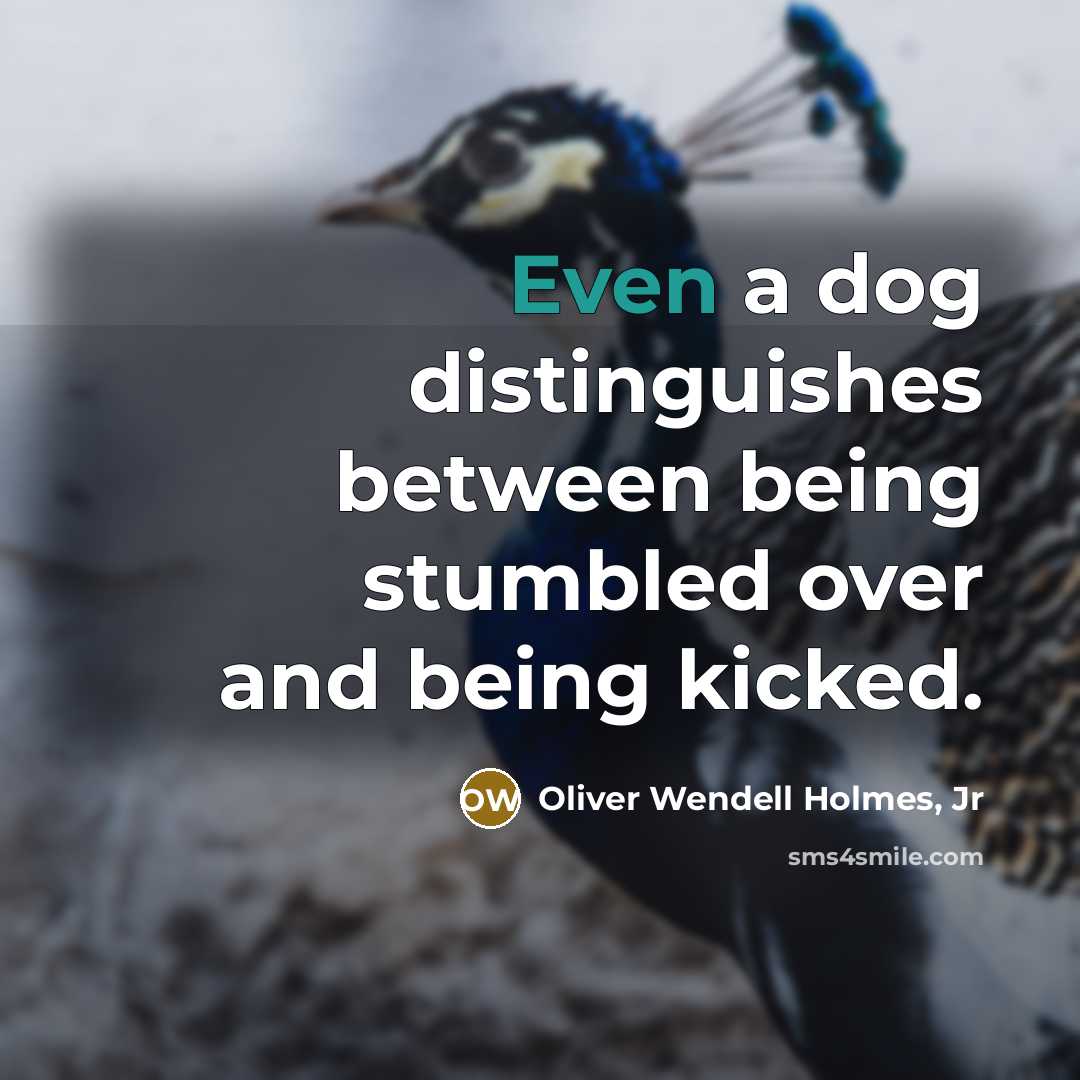 “Even a dog distinguishes between being stumbled over and being kicked.” quote by Oliver Wendell Holmes, Jr