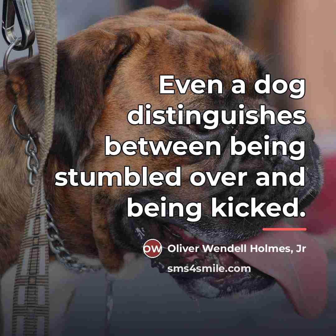 “Even a dog distinguishes between being stumbled over and being…” quote by Oliver Wendell Holmes, Jr