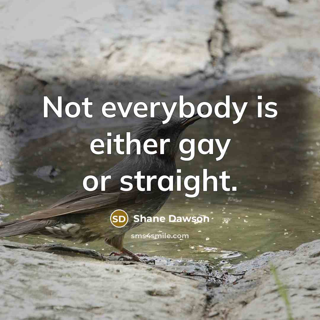“Not everybody is either gay or straight.…” quote by Shane Dawson