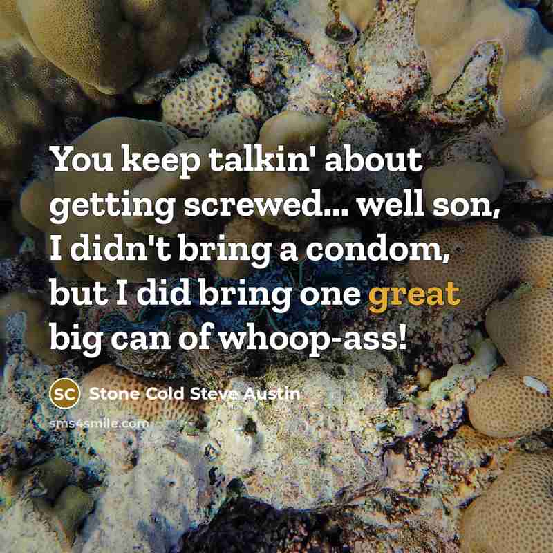 “You keep talkin' about getting screwed... well son, I didn't bring a condom, but I did bring one great big can of whoop-ass!” quote by Stone Cold Steve Austin