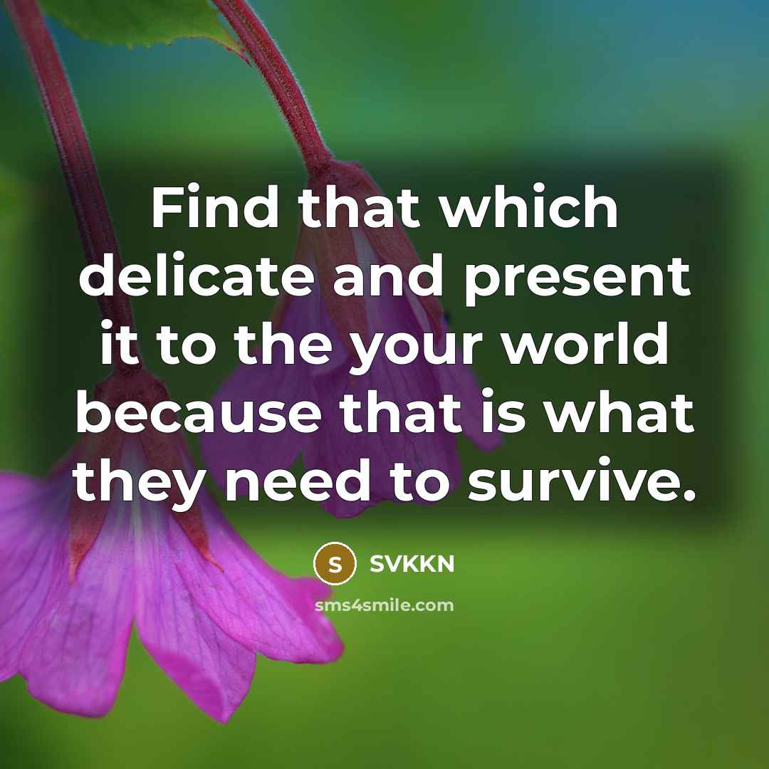 “Find that which delicate and present it to the your world because that is what they need to survive.” quote by SVKKN
