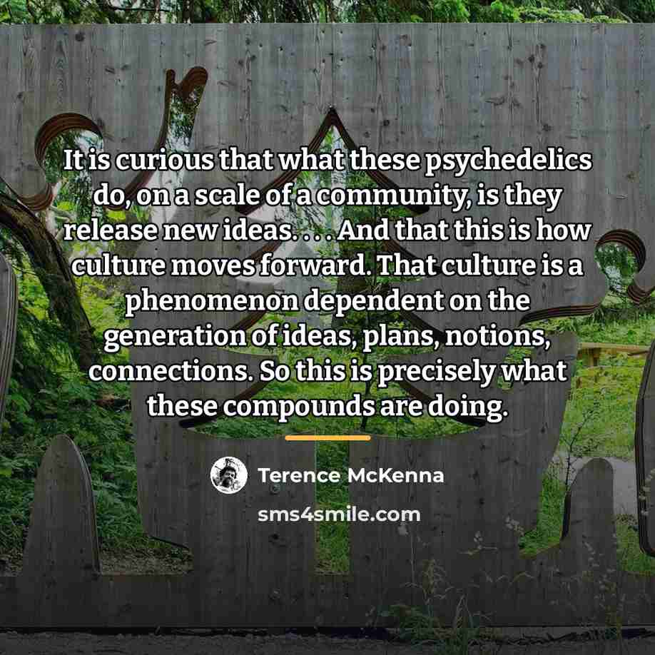 “It is curious that what these psychedelics do, on a…” quote by Terence McKenna
