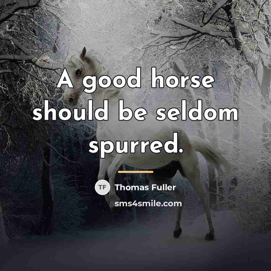 “A good horse should be seldom spurred.…” quote by Thomas Fuller