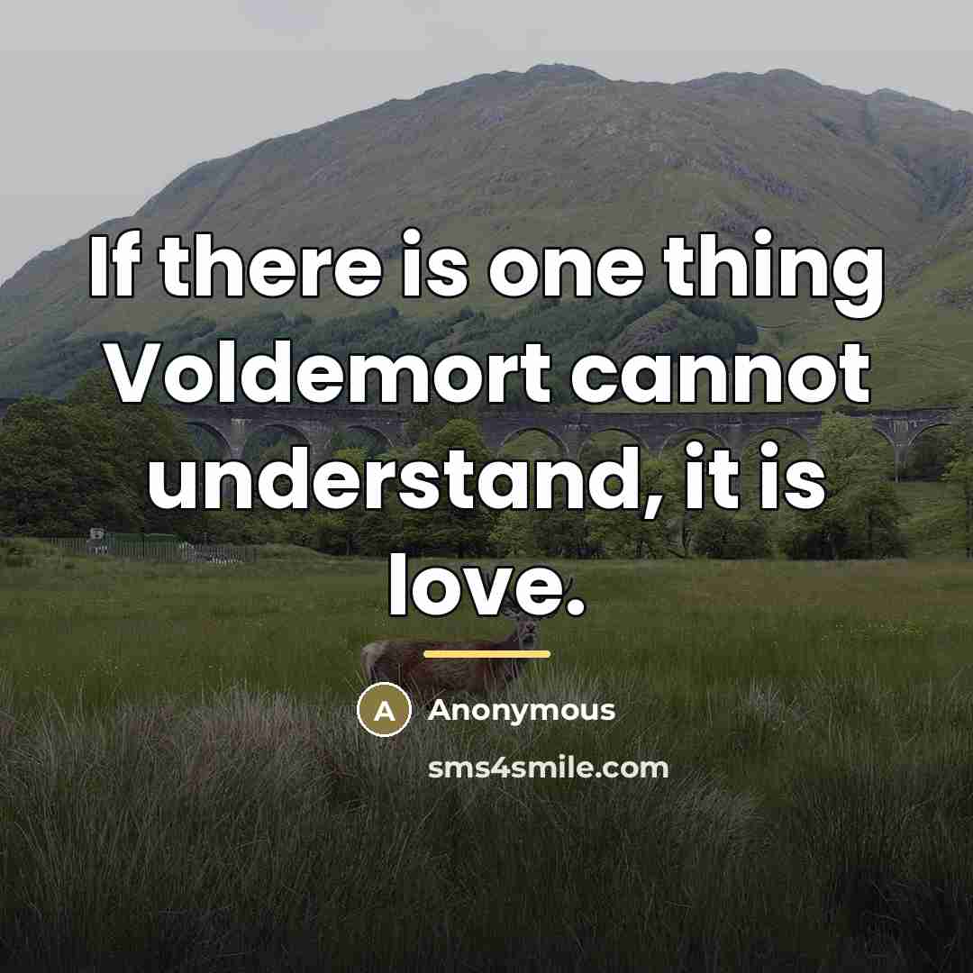 “If there is one thing Voldemort cannot understand, it is…” quote by Anonymous