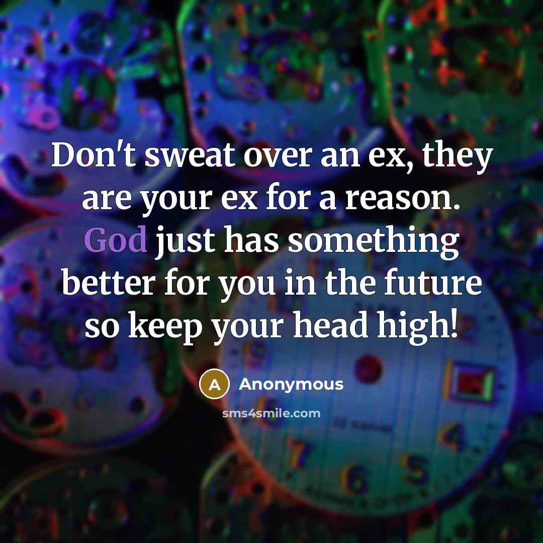 “Don't sweat over an ex, they are your ex for…” quote by Anonymous