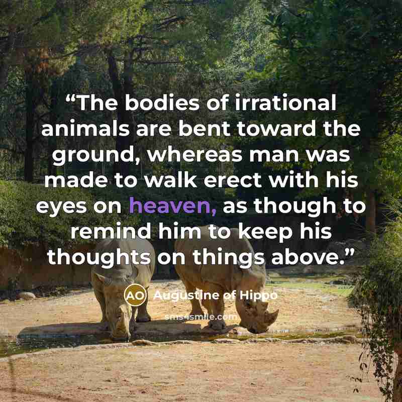 “The bodies of irrational animals are bent toward the ground, whereas man was made to walk erect with his eyes on heaven, as though to remind him to keep his thoughts on things above.” quote by Augustine of Hippo