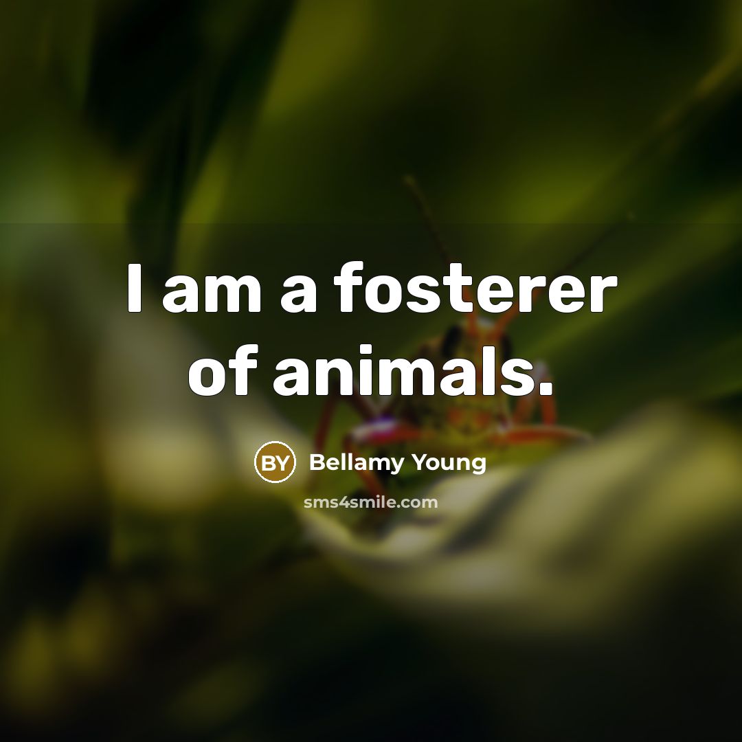 “I am a fosterer of animals.…” quote by Bellamy Young