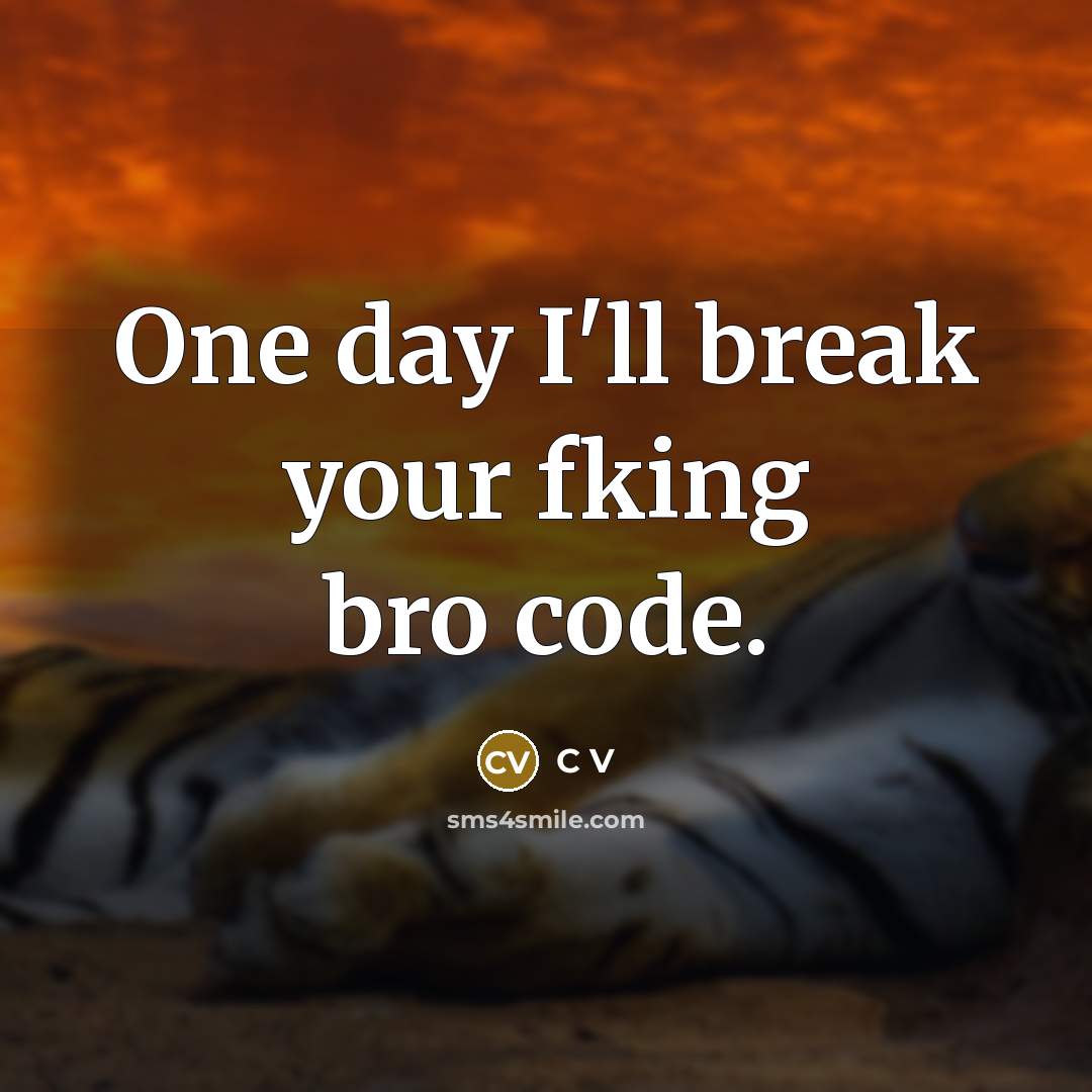 “One day I'll break your fking bro code.” quote by C V