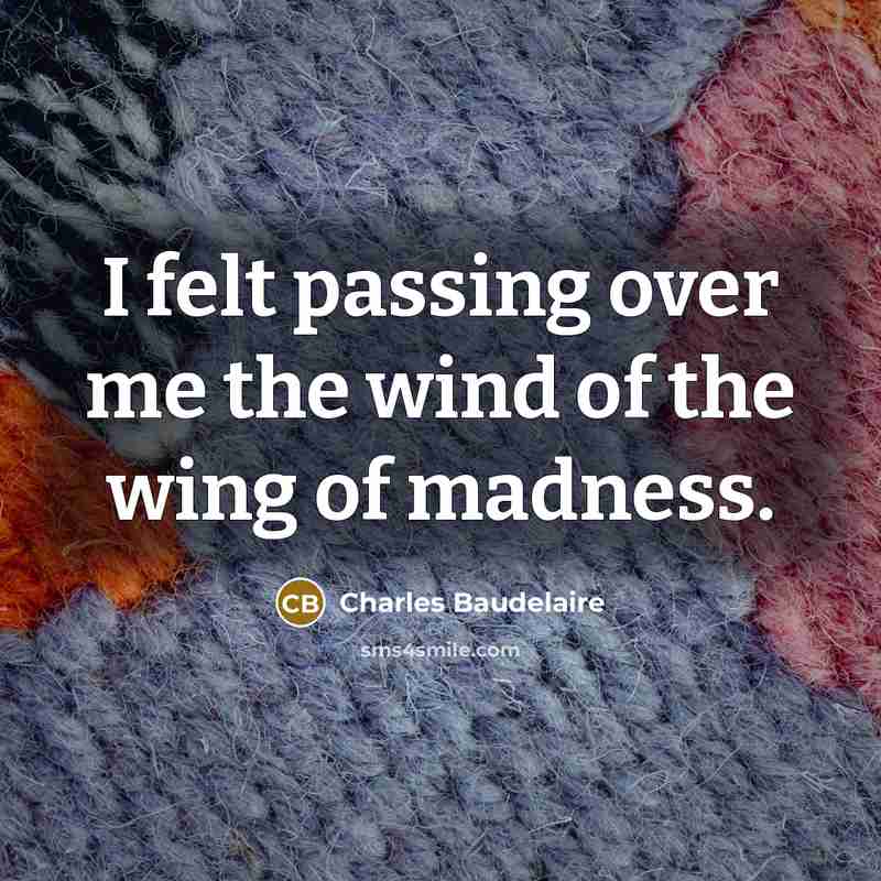 “I felt passing over me the wind of the wing…” quote by Charles Baudelaire