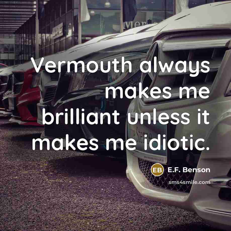 “Vermouth always makes me brilliant unless it makes me idiotic.…” quote by E.F. Benson