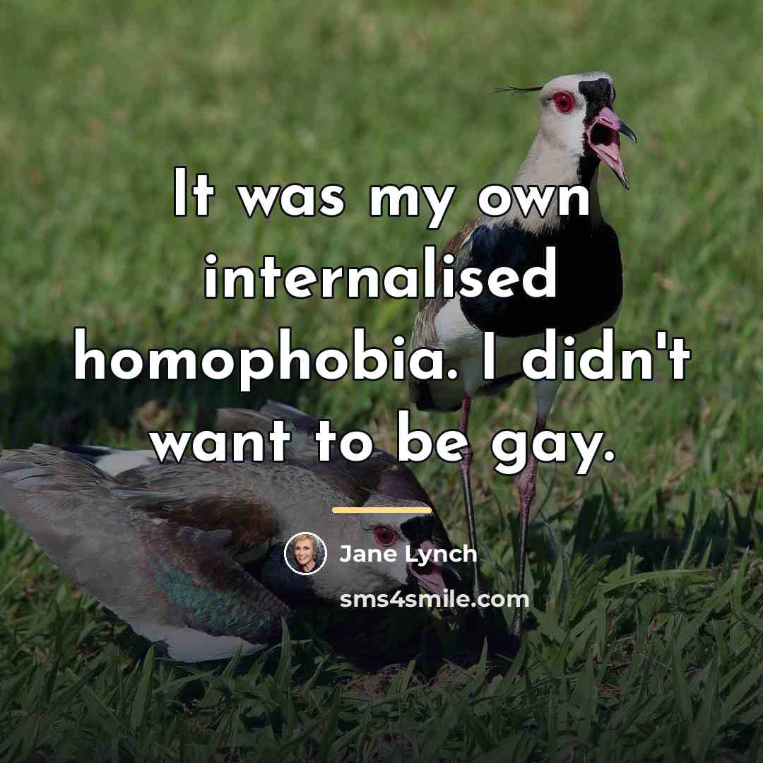 “It was my own internalised homophobia. I didn't want to…” quote by Jane Lynch