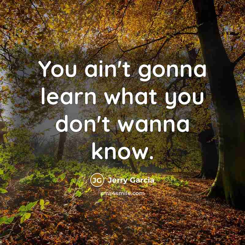 “You ain't gonna learn what you don't wanna know.…” quote by Jerry Garcia