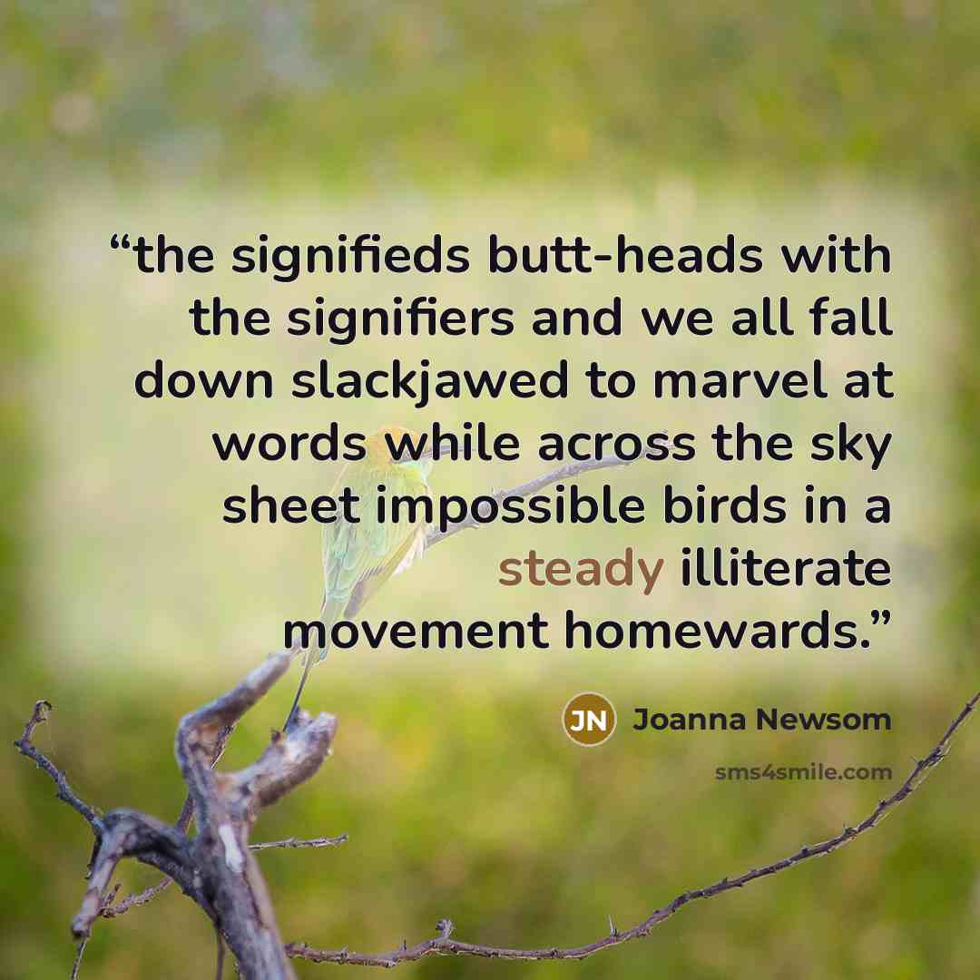 “the signifieds butt-heads with the signifiers and we all fall down slackjawed to marvel at words while across the sky sheet impossible birds in a steady illiterate movement homewards.” quote by Joanna Newsom