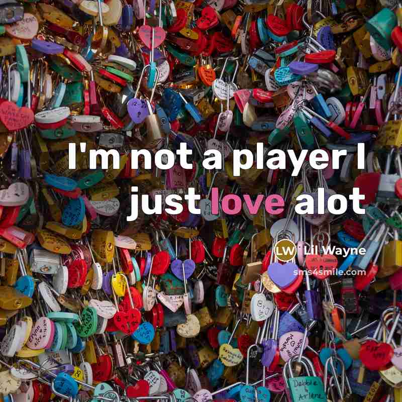 “I'm not a player I just love alot” quote by Lil Wayne