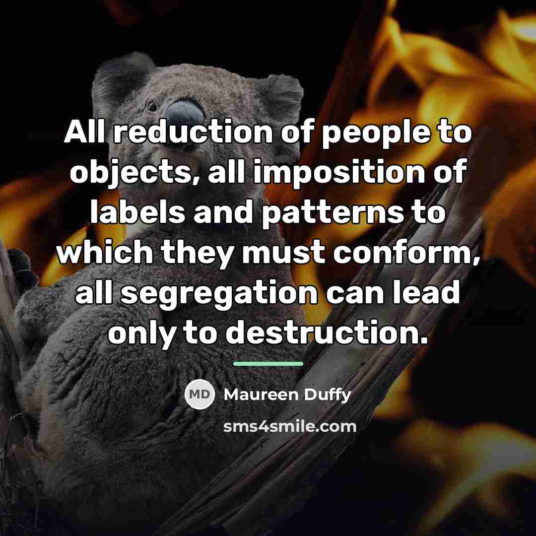 “All reduction of people to objects, all imposition of labels…” quote by Maureen Duffy
