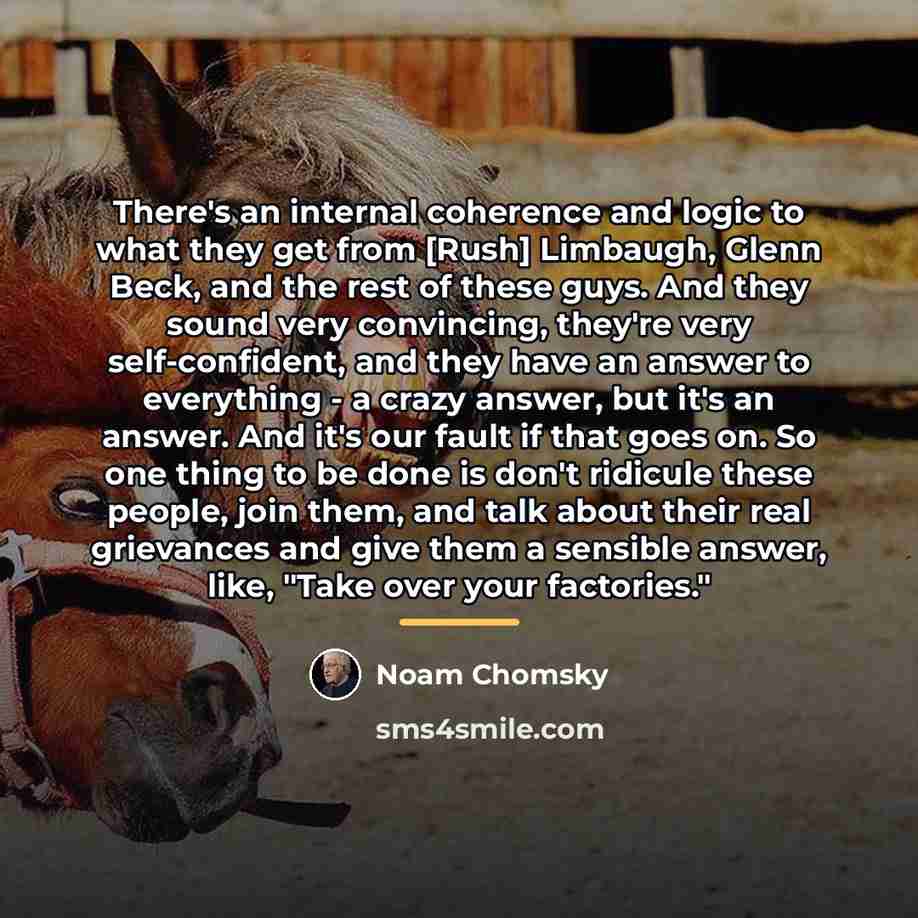 “There's an internal coherence and logic to what they get…” quote by Noam Chomsky