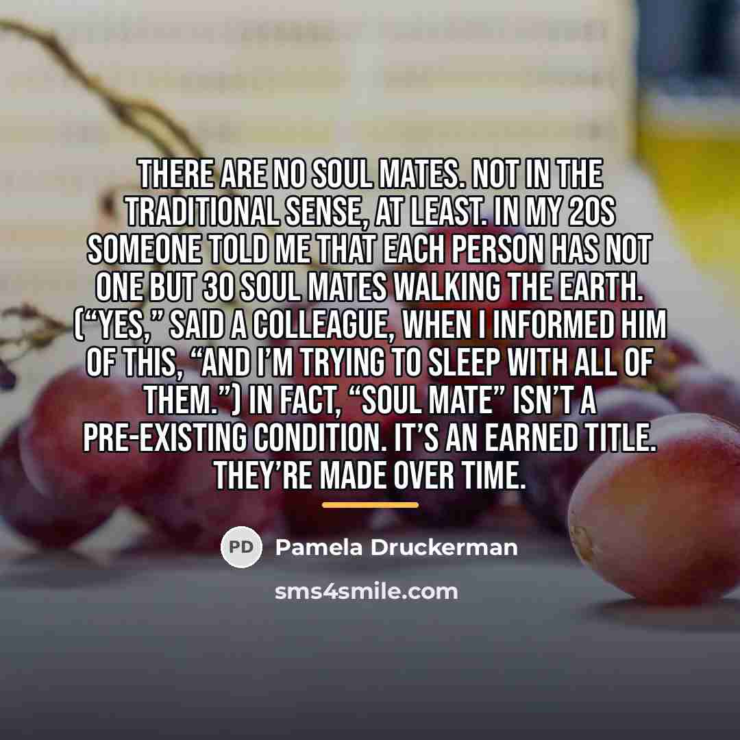 “There are no soul mates. Not in the traditional sense,…” quote by Pamela Druckerman