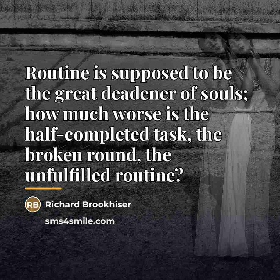 “Routine is supposed to be the great deadener of souls;…” quote by Richard Brookhiser
