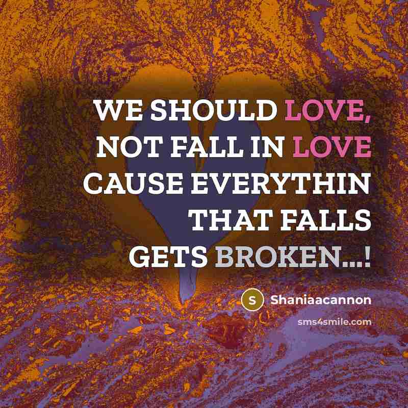 “WE SHOULD LOVE, NOT FALL IN LOVE CAUSE EVERYTHIN THAT…” quote by Shaniaacannon
