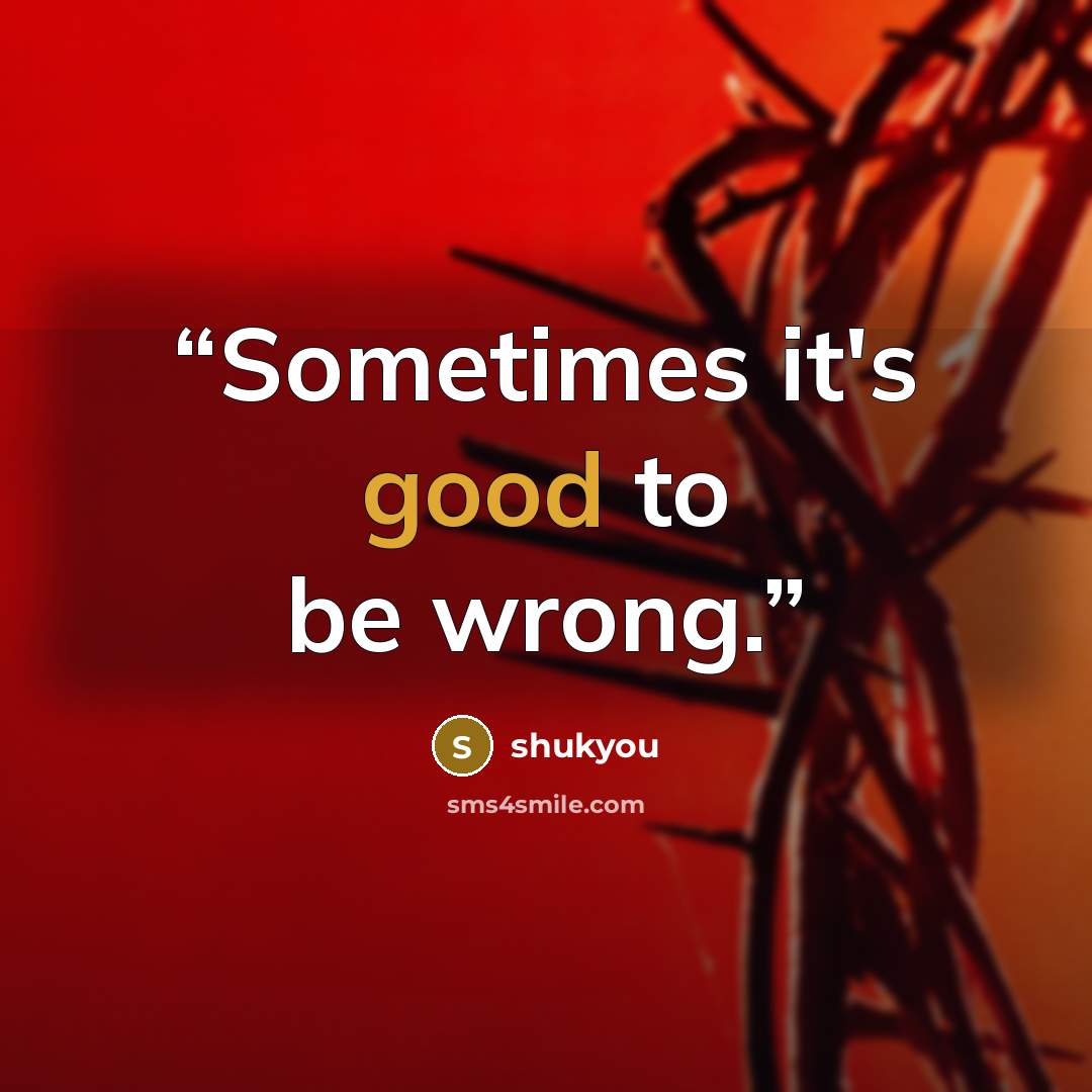 “Sometimes it's good to be wrong.” quote by shukyou