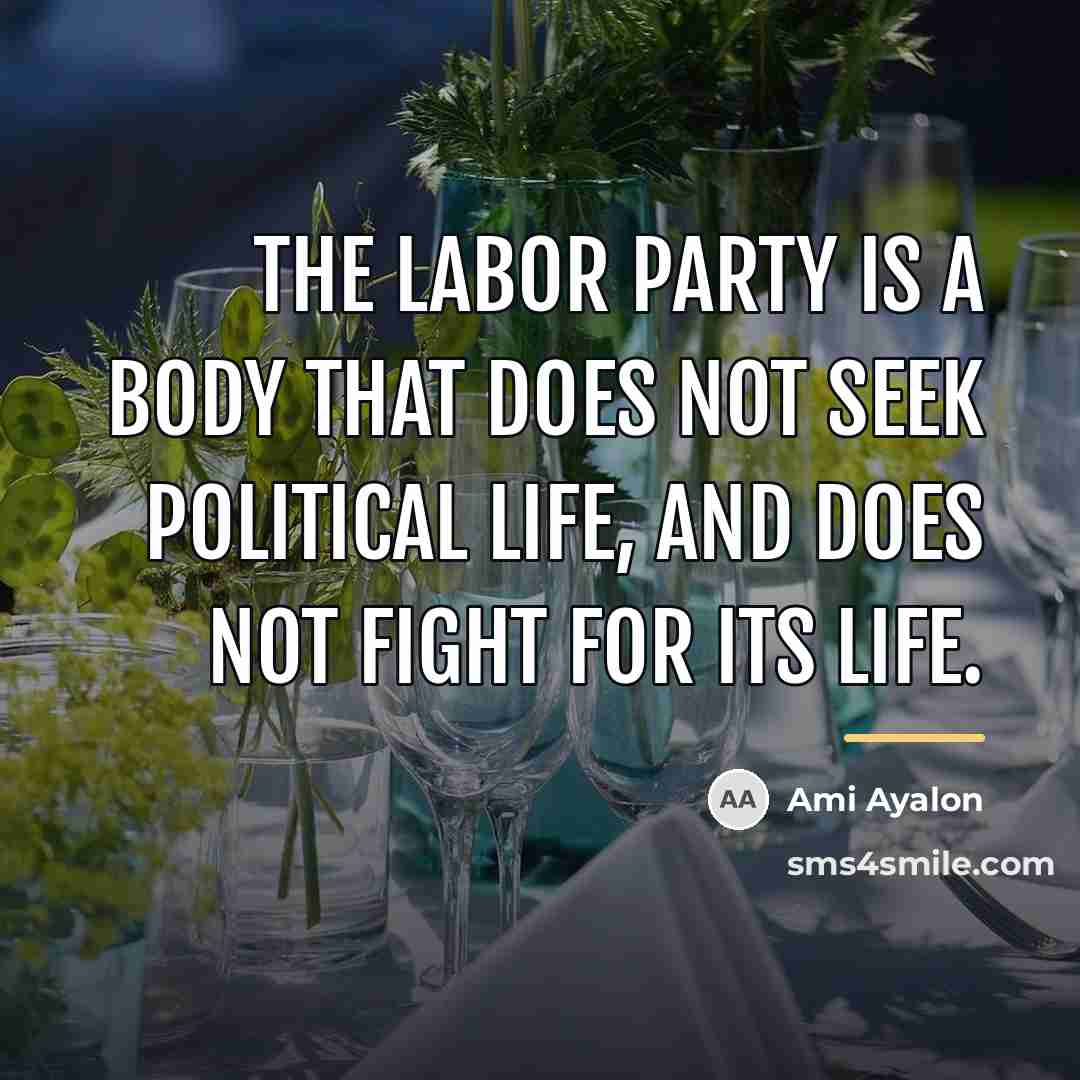 “The Labor Party is a body that does not seek…” quote by Ami Ayalon