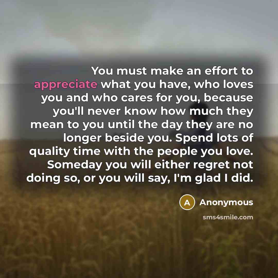 “You must make an effort to appreciate what you have,…” quote by Anonymous