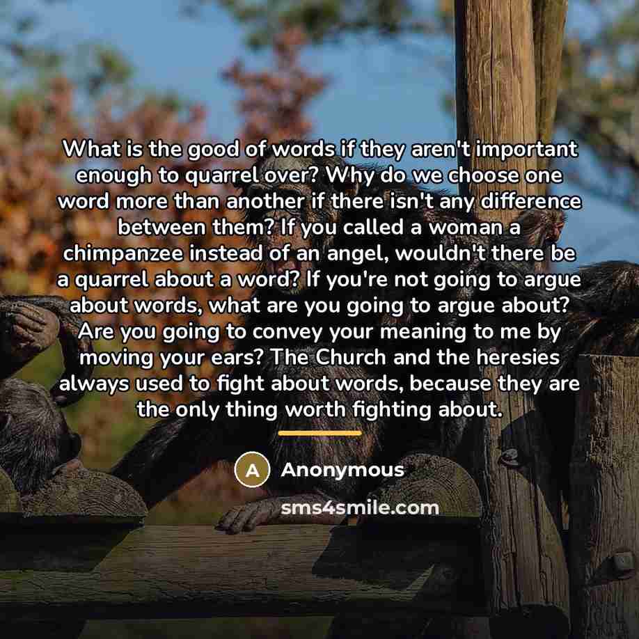 “What is the good of words if they aren't important…” quote by Anonymous