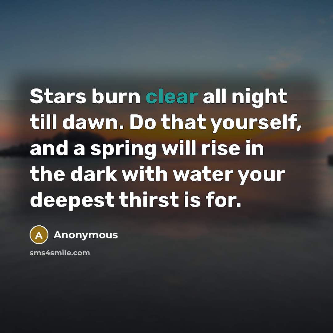 “Stars burn clear all night till dawn. Do that yourself,…” quote by Anonymous