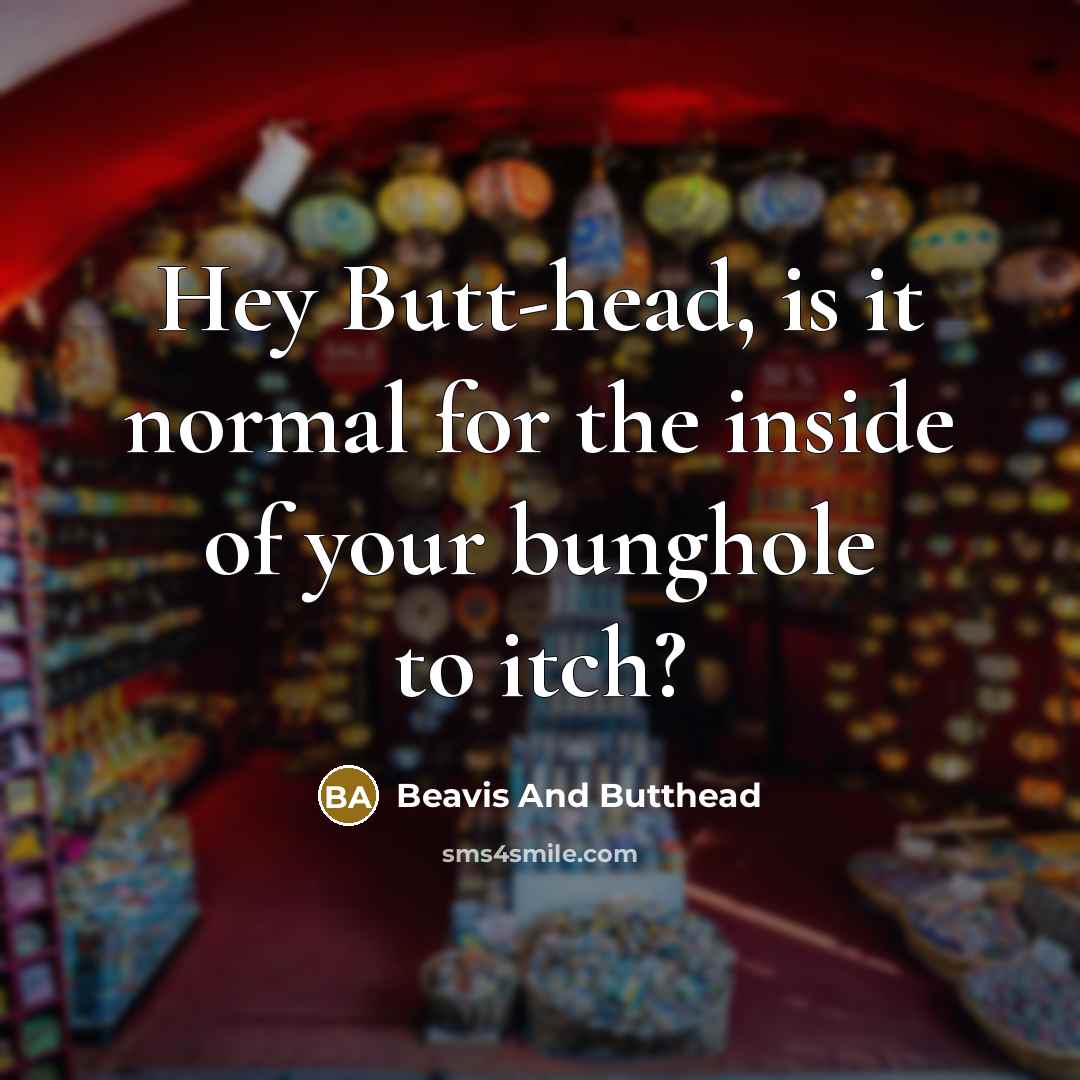 “Hey Butt-head, is it normal for the inside of your bunghole to itch?” quote by Beavis And Butthead