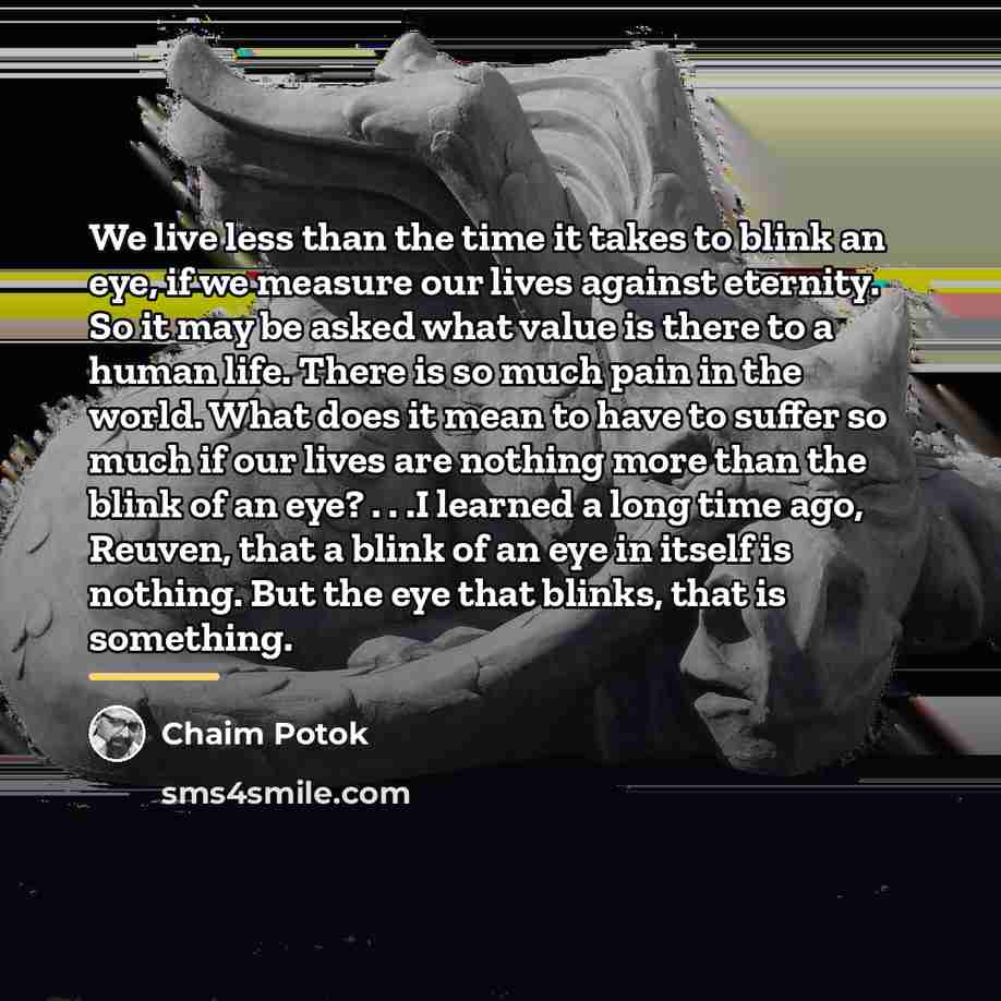 “We live less than the time it takes to blink…” quote by Chaim Potok