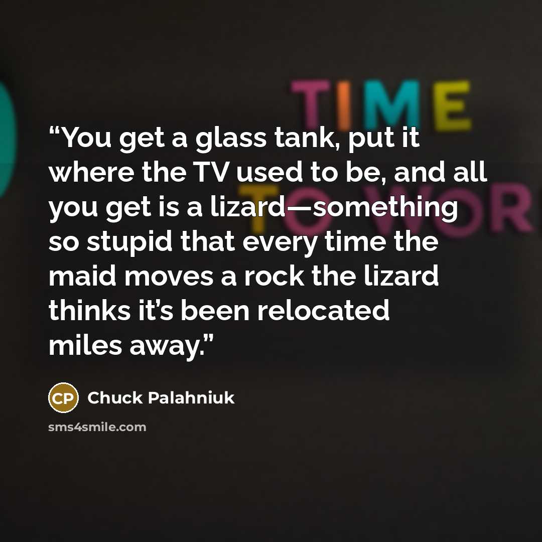 “You get a glass tank, put it where the TV used to be, and all you get is a lizard—something so stupid that every time the maid moves a rock the lizard thinks it’s been relocated miles away.” quote by Chuck Palahniuk