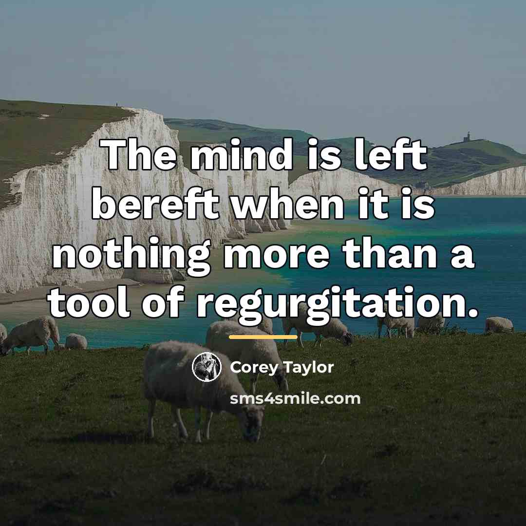 “The mind is left bereft when it is nothing more…” quote by Corey Taylor