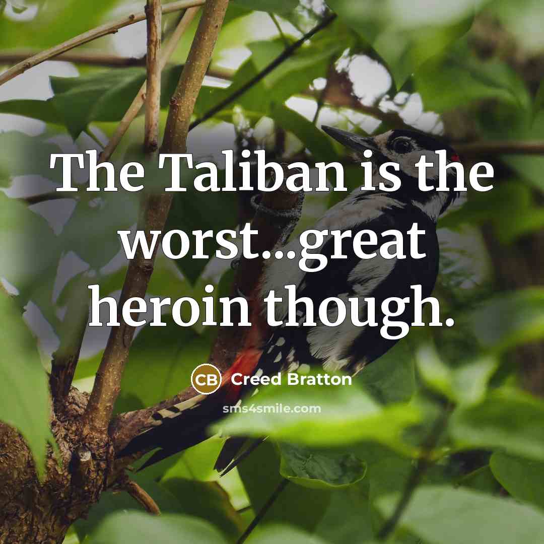 “The Taliban is the worst...great heroin though.…” quote by Creed Bratton