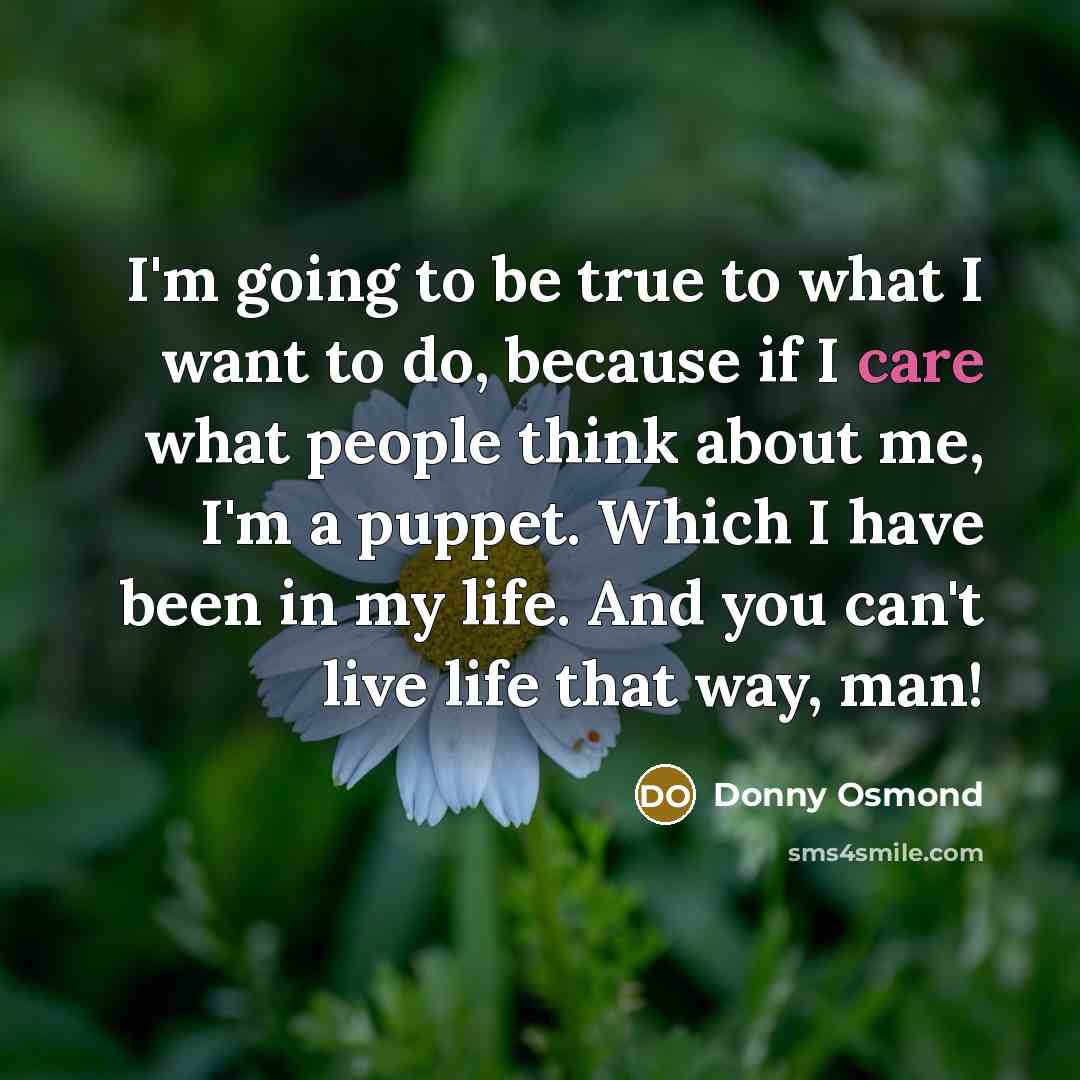 “I'm going to be true to what I want to…” quote by Donny Osmond