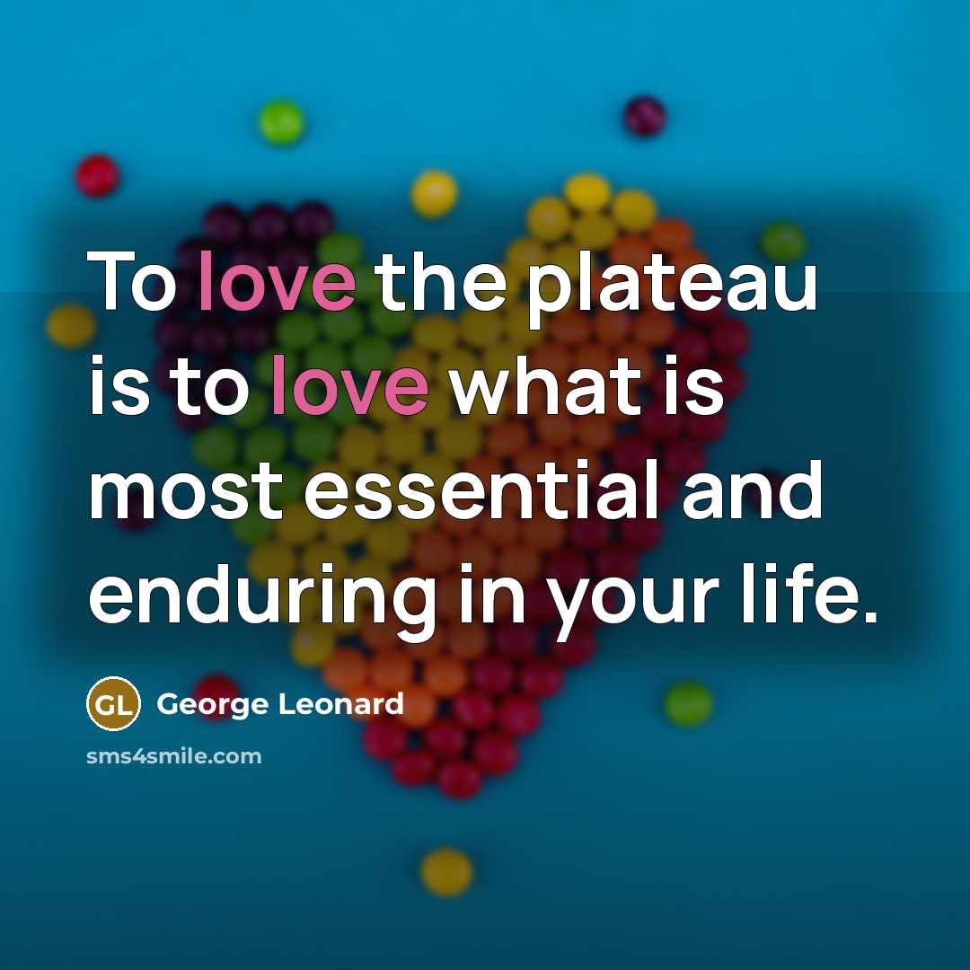 “To love the plateau is to love what is most…” quote by George Leonard