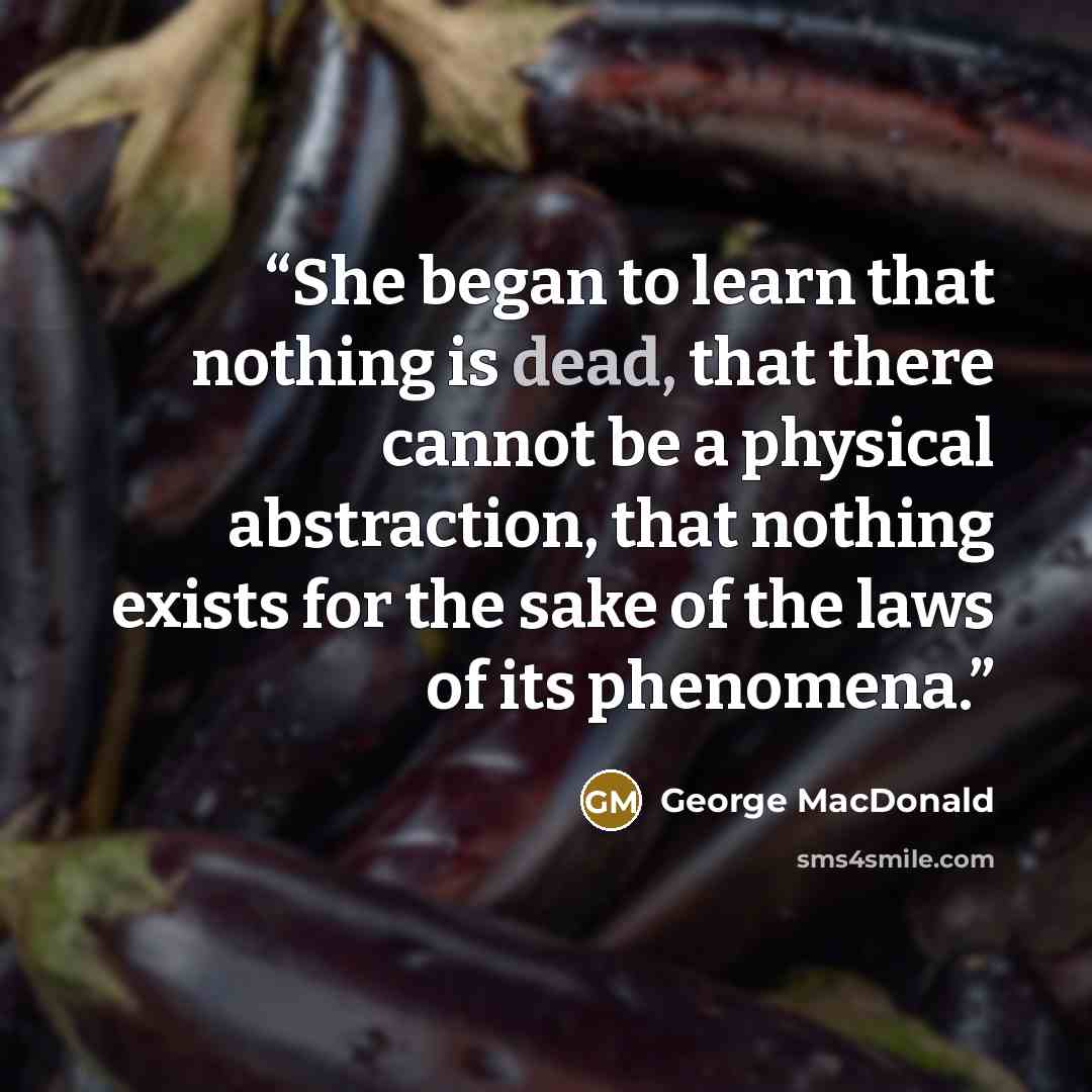 “She began to learn that nothing is dead, that there cannot be a physical abstraction, that nothing exists for the sake of the laws of its phenomena.” quote by George MacDonald