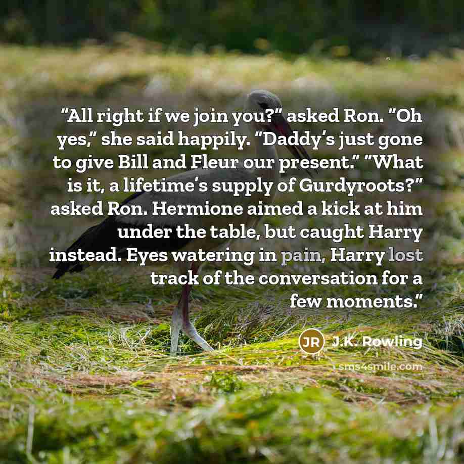 “All right if we join you?” asked Ron. “Oh yes,” she said happily. “Daddy’s just gone to give Bill and Fleur our present.” “What is it, a lifetime’s supply of Gurdyroots?” asked Ron. Hermione aimed a kick at him under the table, but caught Harry instead. Eyes watering in pain, Harry lost track of…” quote by J.K. Rowling