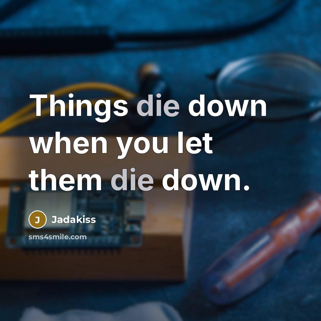 “Things die down when you let them die down.…” quote by Jadakiss