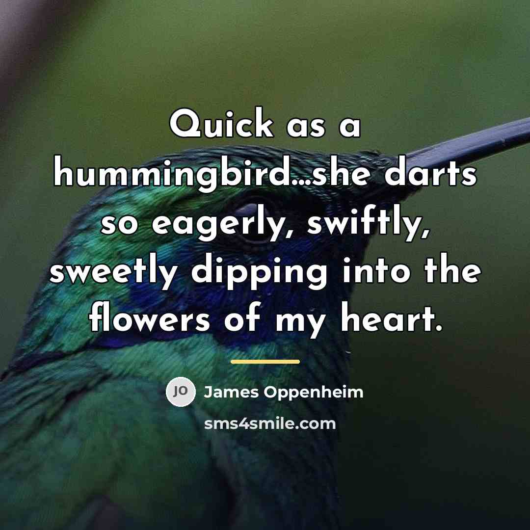 “Quick as a hummingbird...she darts so eagerly, swiftly, sweetly dipping…” quote by James Oppenheim