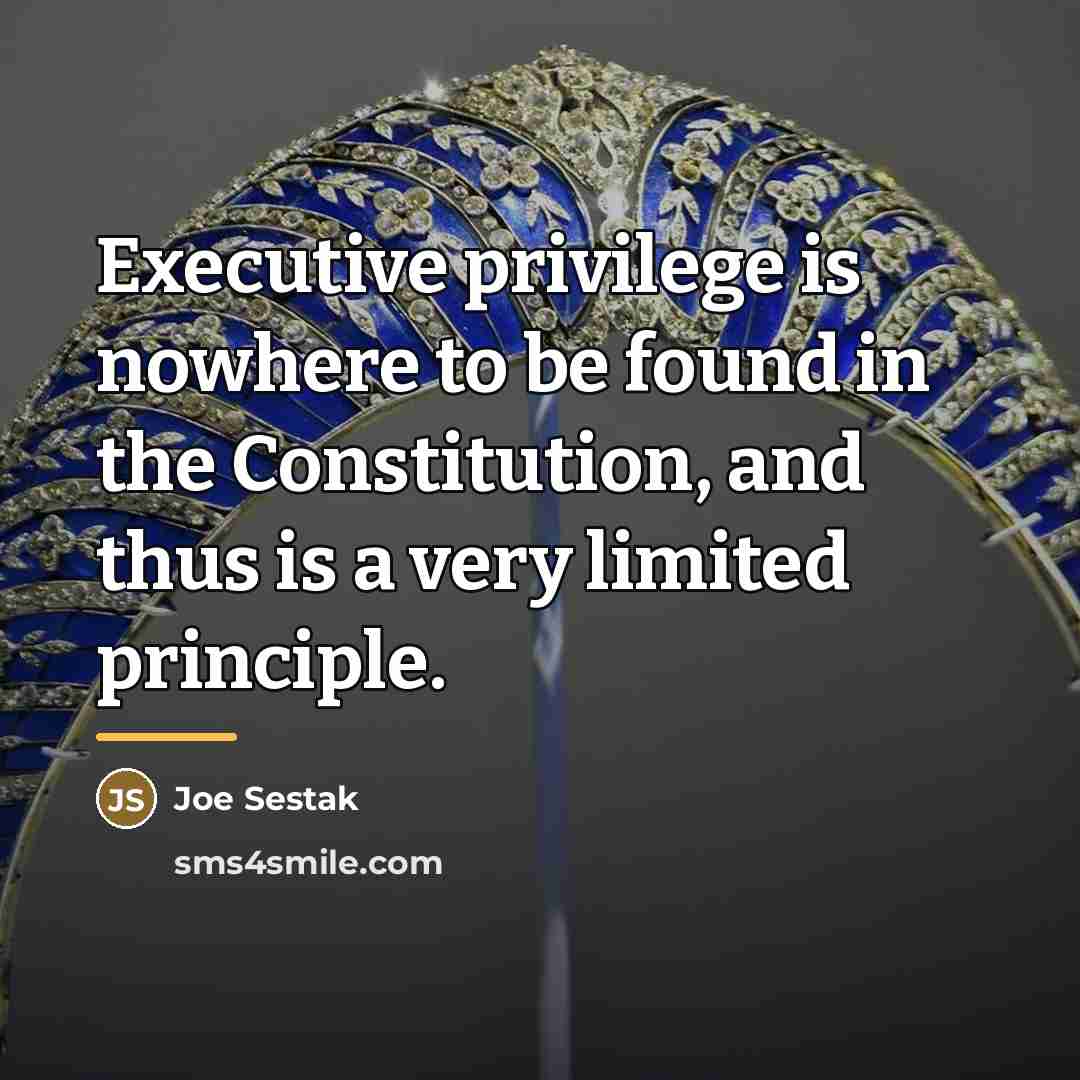 “Executive privilege is nowhere to be found in the Constitution,…” quote by Joe Sestak
