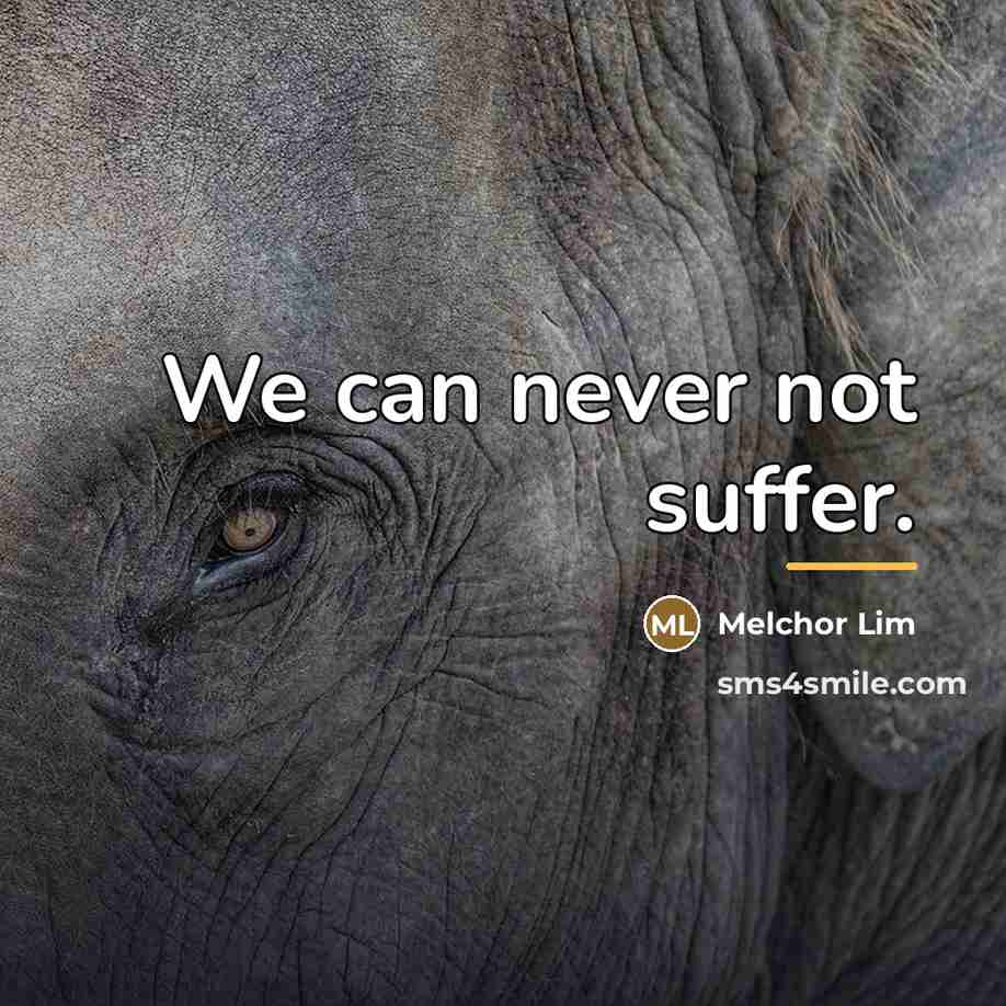 “We can never not suffer.…” quote by Melchor Lim