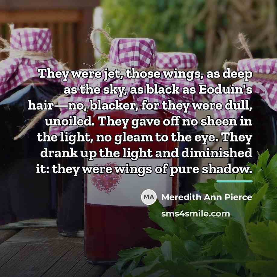 “They were jet, those wings, as deep as the sky,…” quote by Meredith Ann Pierce