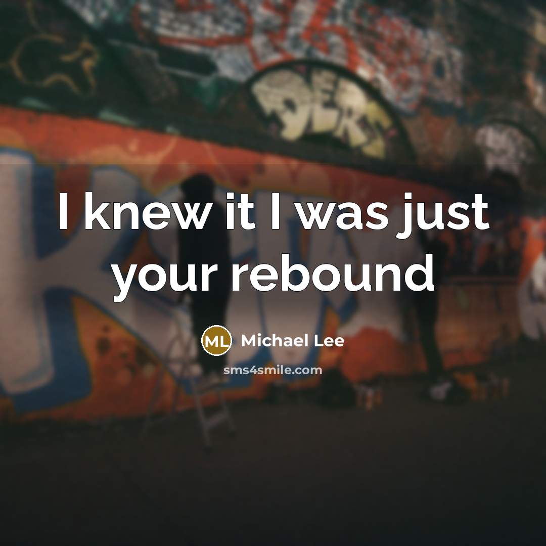 “I knew it I was just your rebound” quote by Michael Lee