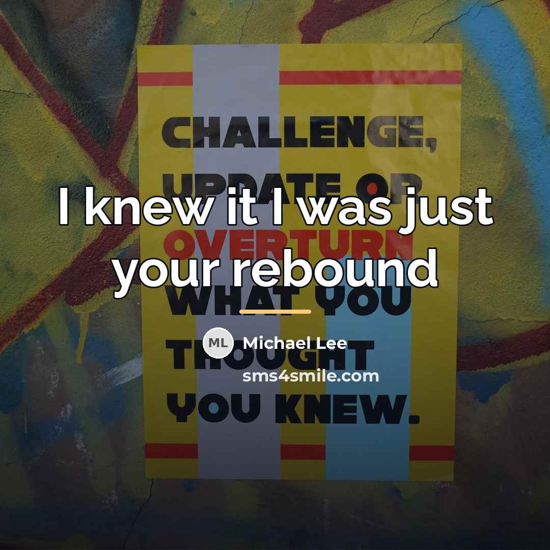 “I knew it I was just your rebound…” quote by Michael Lee