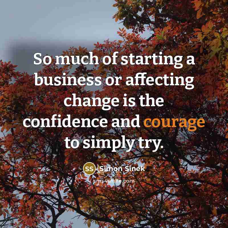 “So much of starting a business or affecting change is…” quote by Simon Sinek