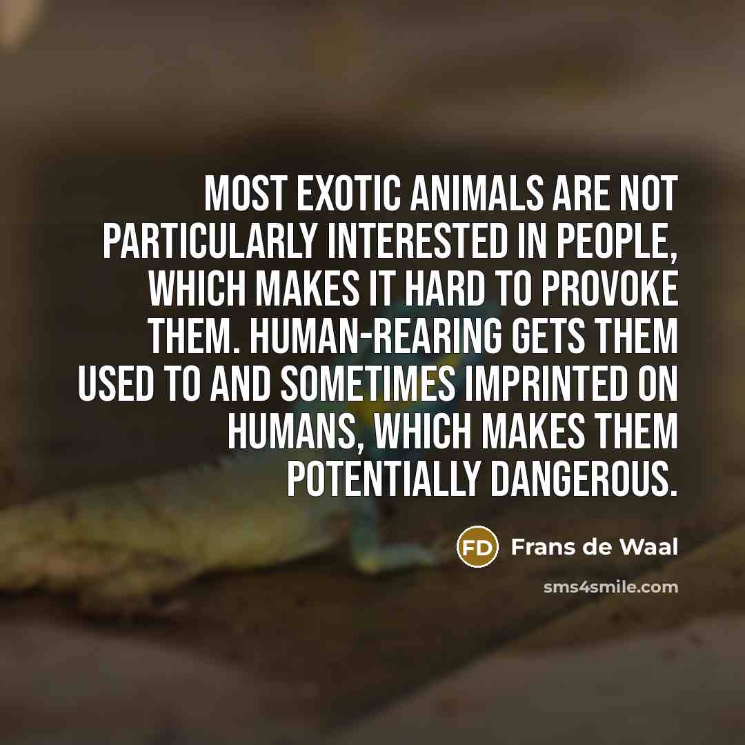“Most exotic animals are not particularly interested in people, which…” quote by Frans de Waal