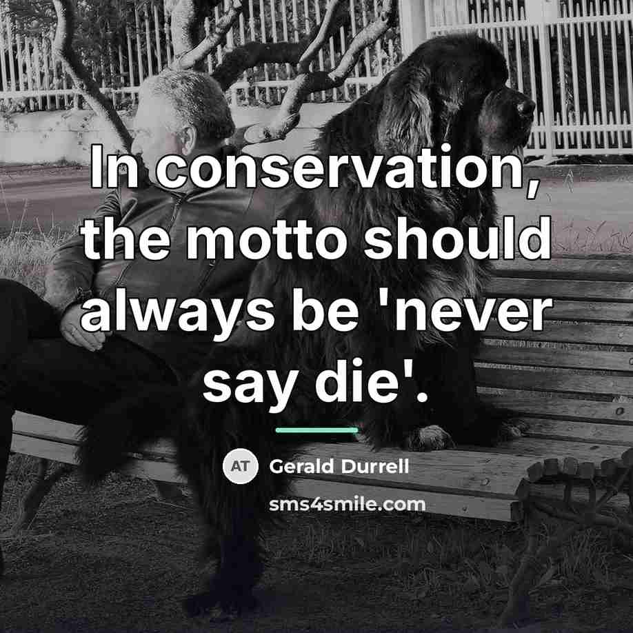 “In conservation, the motto should always be 'never say die'.…” quote by Gerald Durrell