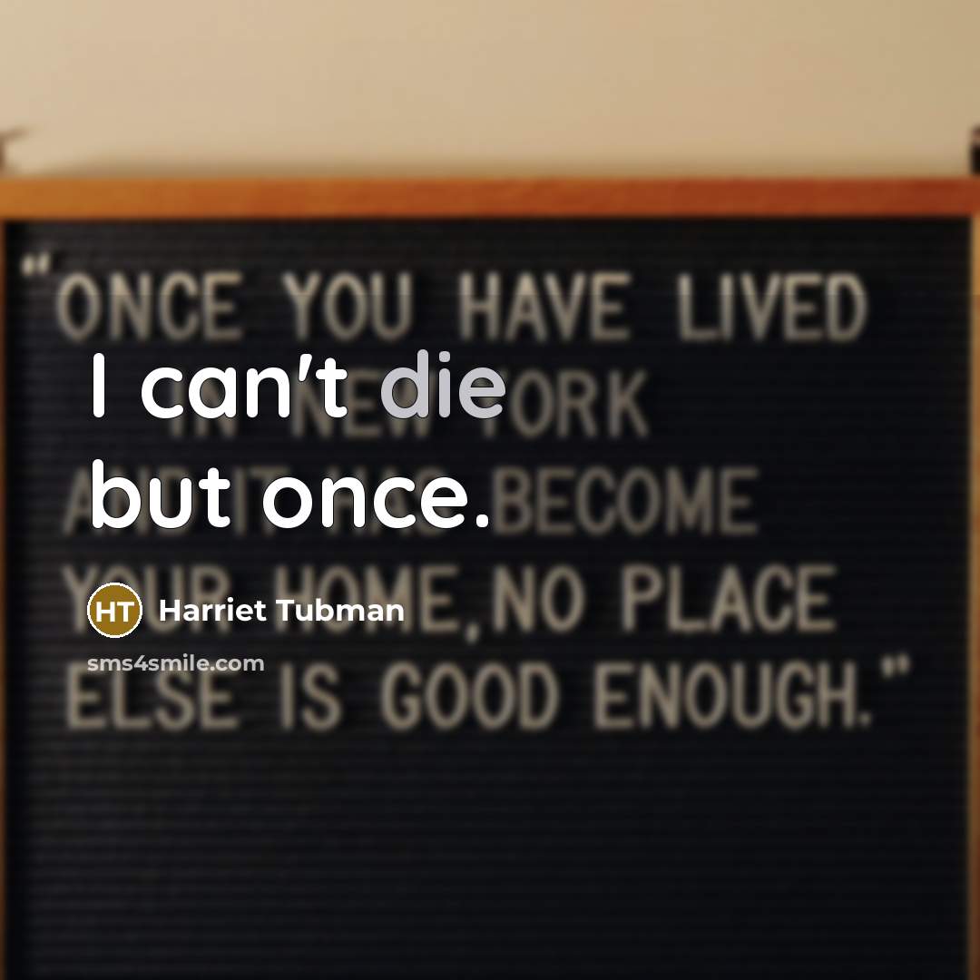 “I can't die but once.…” quote by Harriet Tubman
