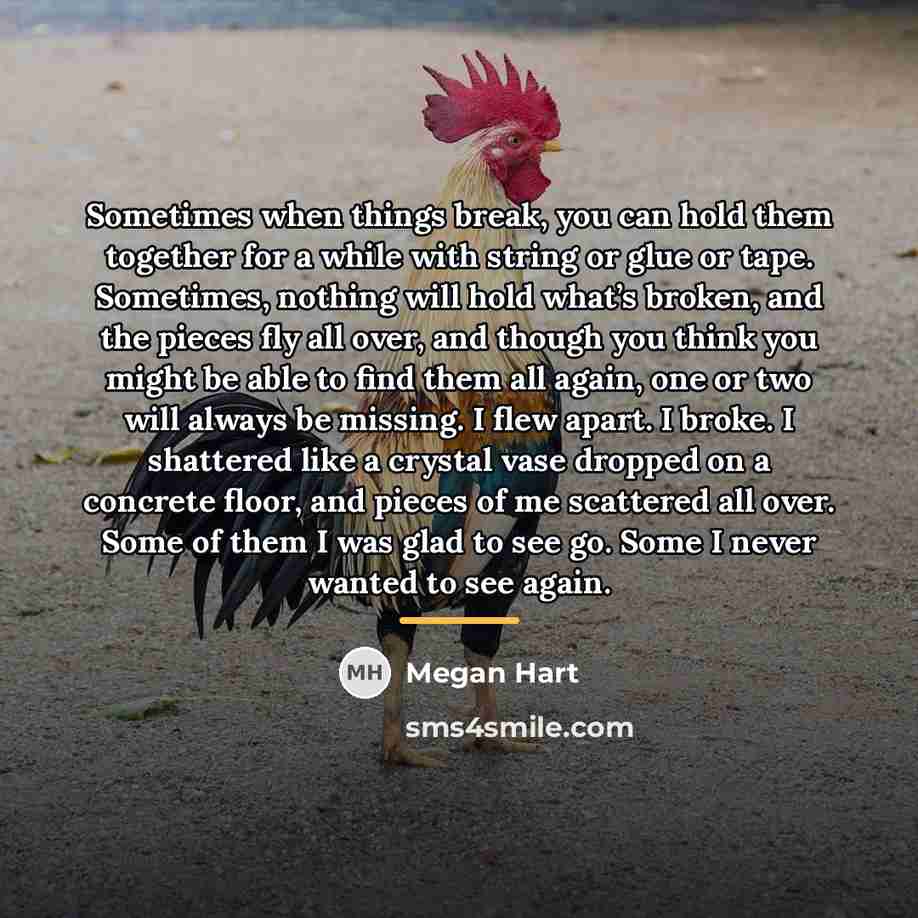 “Sometimes when things break, you can hold them together for…” quote by Megan Hart